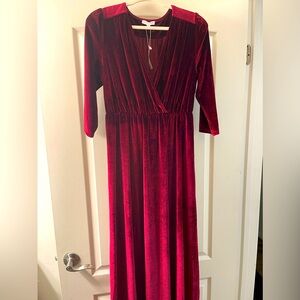 Baltic Born Maroon Velvet Maxi Dress